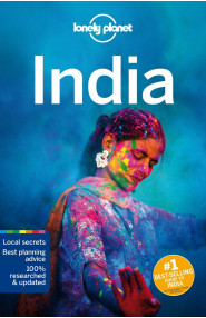 Lonely Planet India 17