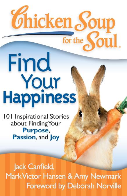 Chi Soup For The Soul Find Your Happiness